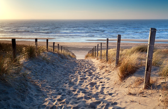 Wadden strand 
