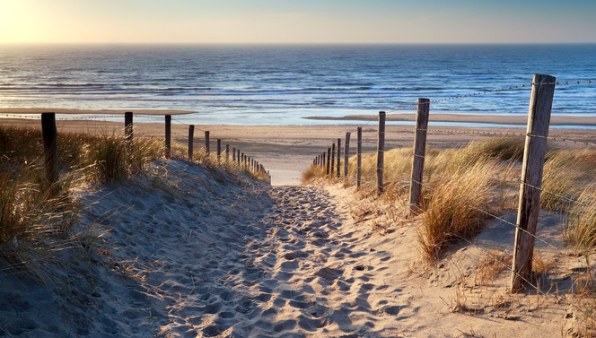 Wadden strand 