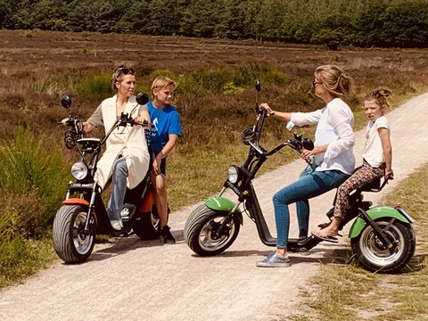 E-choppers